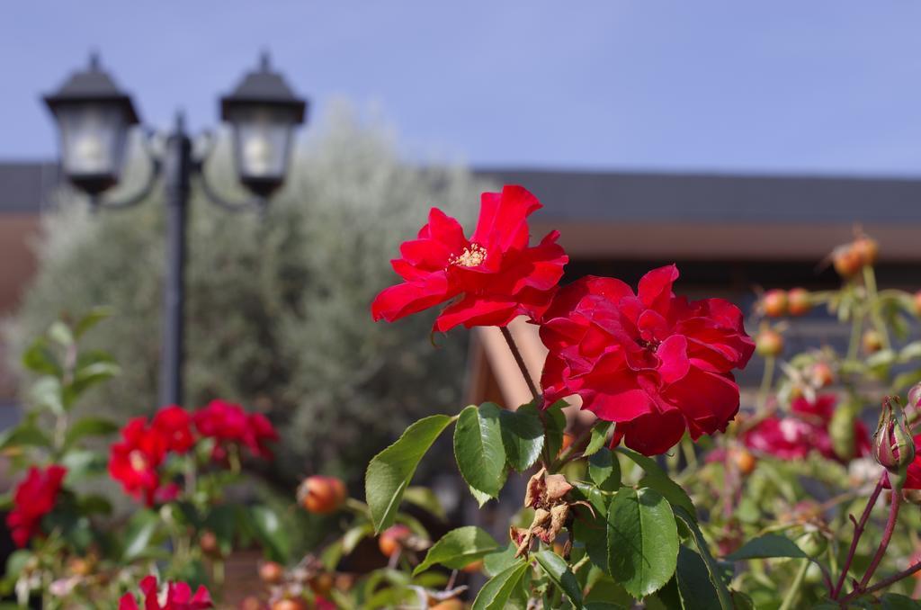 Hotel Los Olivos Getafe Exterior photo